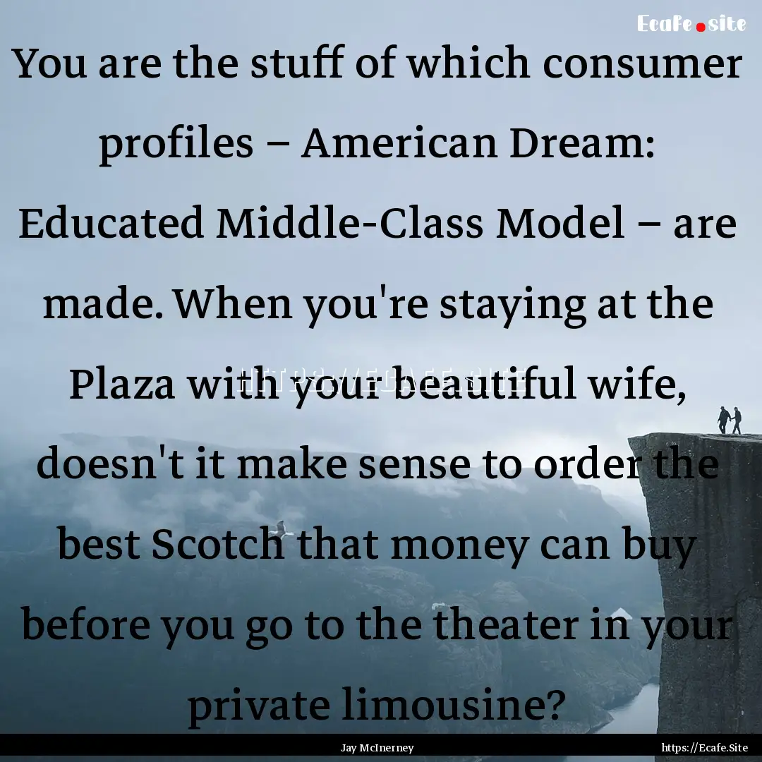 You are the stuff of which consumer profiles.... : Quote by Jay McInerney