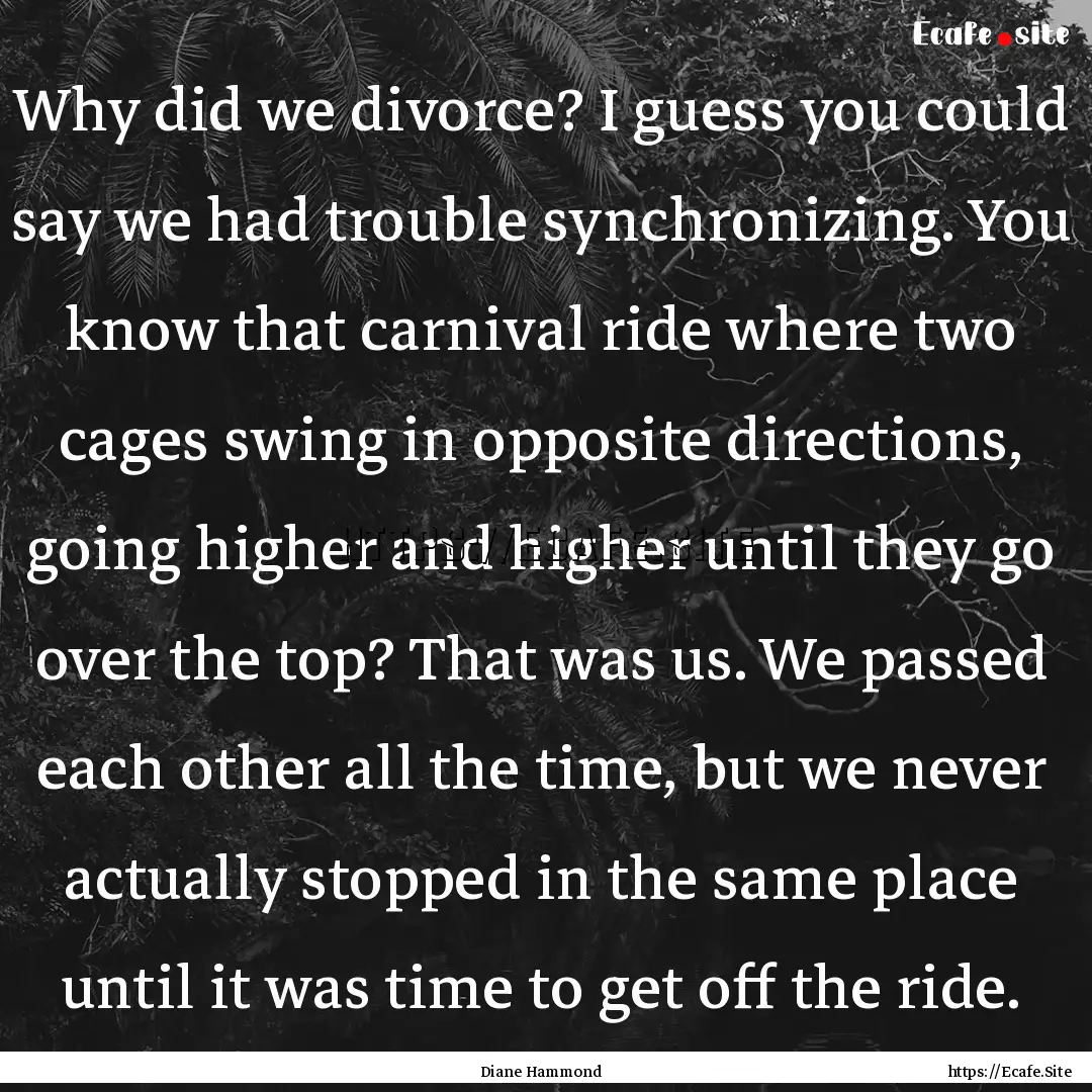 Why did we divorce? I guess you could say.... : Quote by Diane Hammond