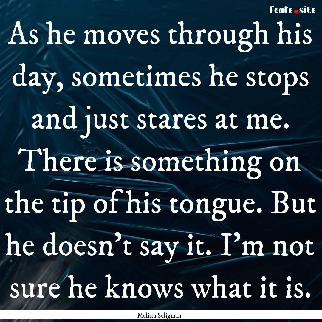 As he moves through his day, sometimes he.... : Quote by Melissa Seligman