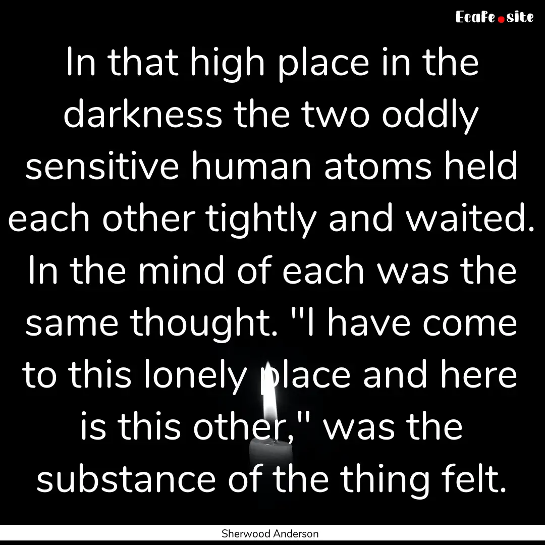 In that high place in the darkness the two.... : Quote by Sherwood Anderson