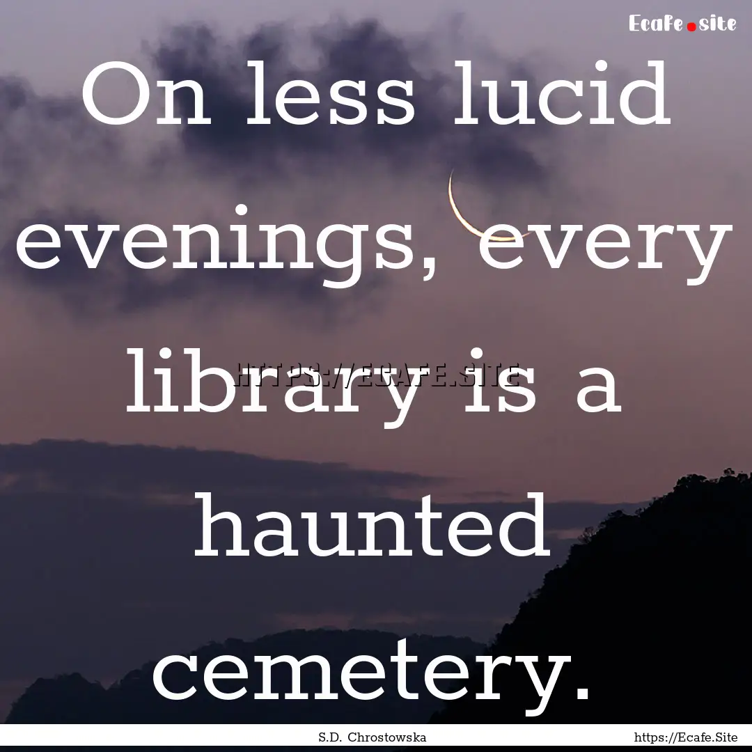 On less lucid evenings, every library is.... : Quote by S.D. Chrostowska