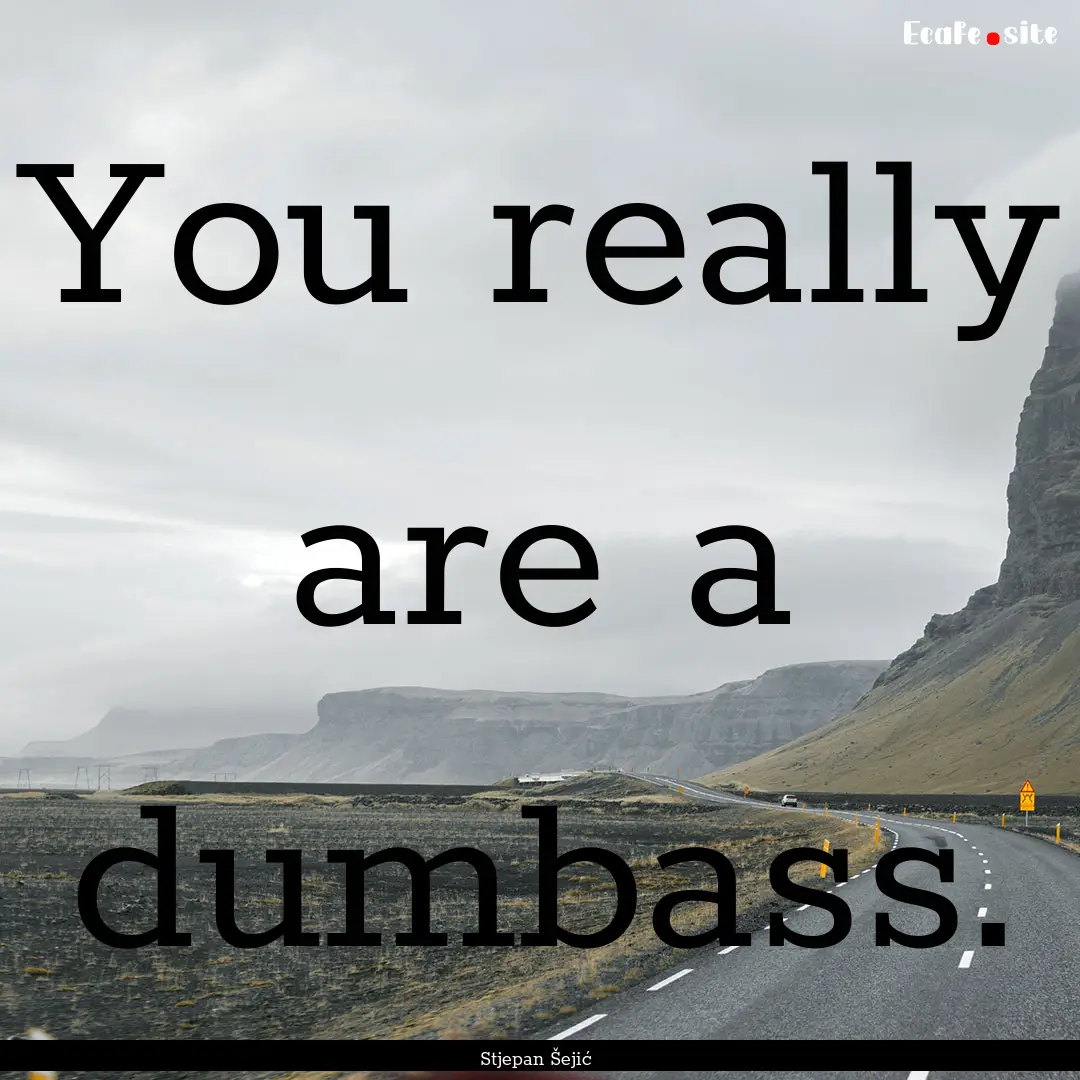 You really are a dumbass. : Quote by Stjepan Šejić