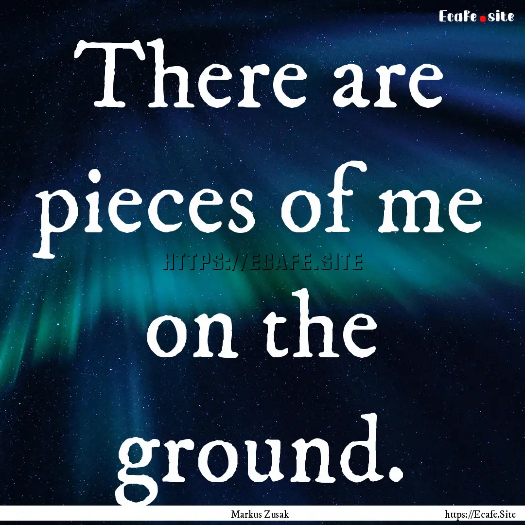 There are pieces of me on the ground. : Quote by Markus Zusak