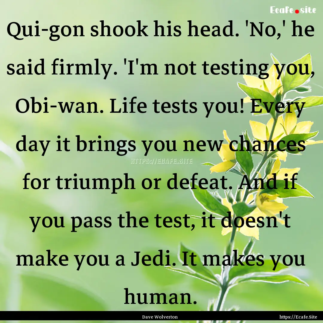 Qui-gon shook his head. 'No,' he said firmly..... : Quote by Dave Wolverton