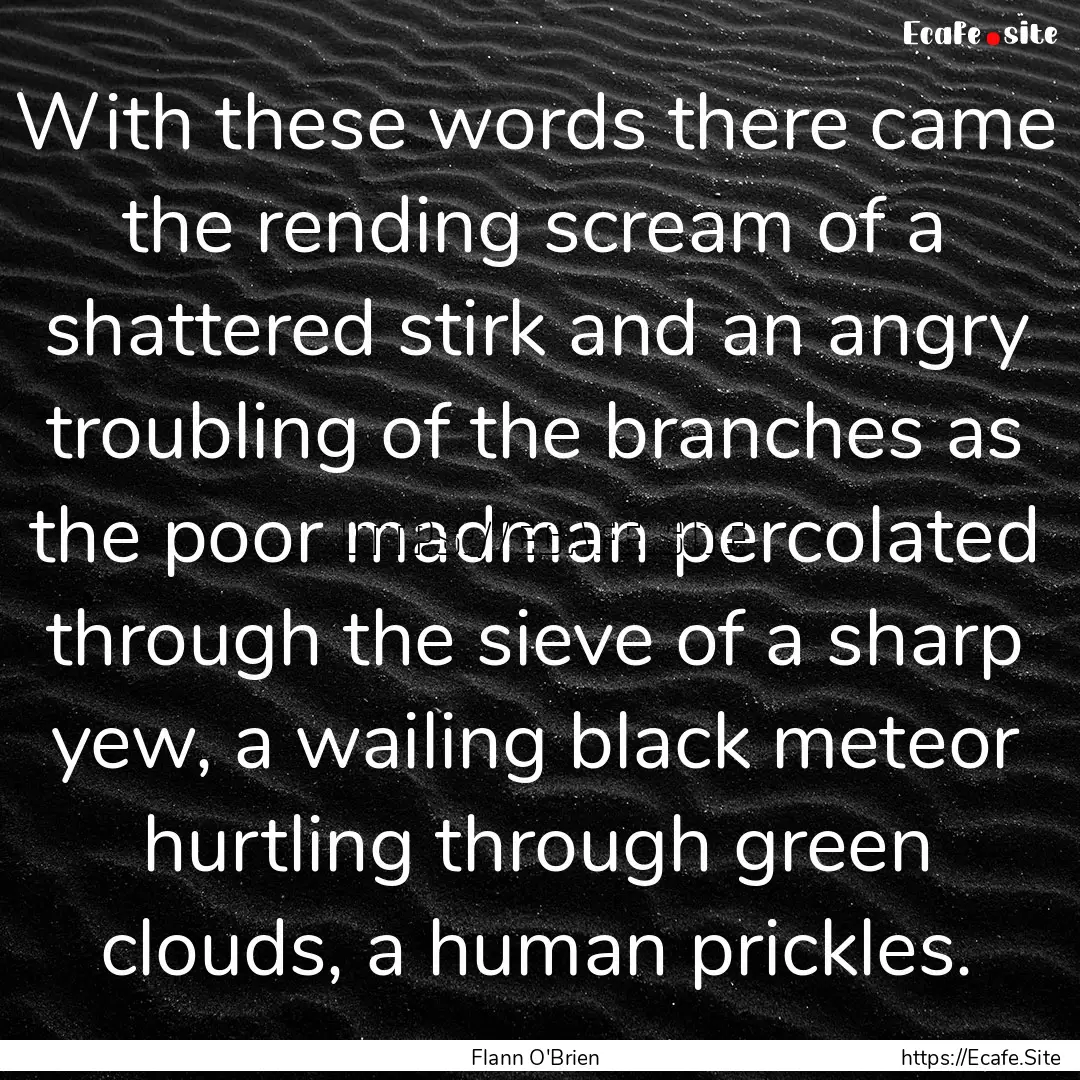 With these words there came the rending scream.... : Quote by Flann O'Brien