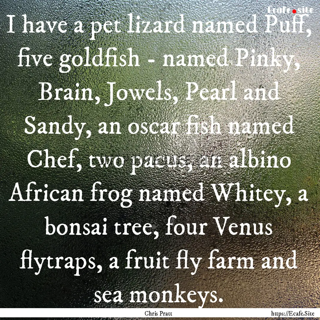 I have a pet lizard named Puff, five goldfish.... : Quote by Chris Pratt