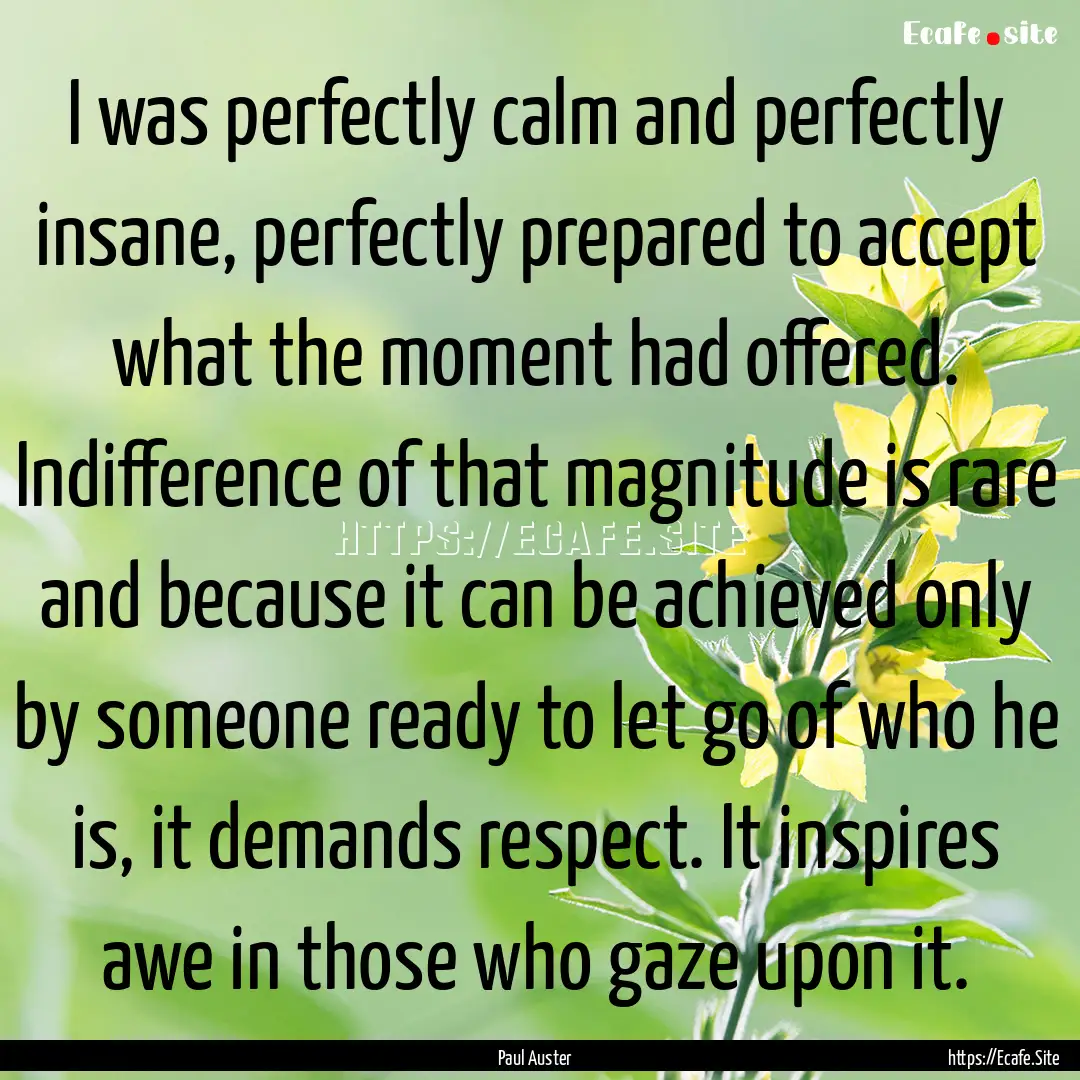 I was perfectly calm and perfectly insane,.... : Quote by Paul Auster