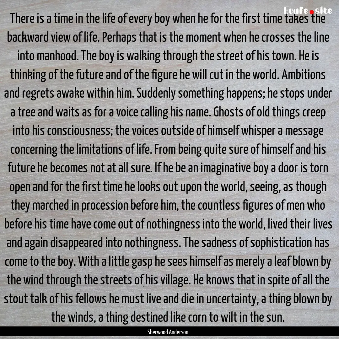 There is a time in the life of every boy.... : Quote by Sherwood Anderson