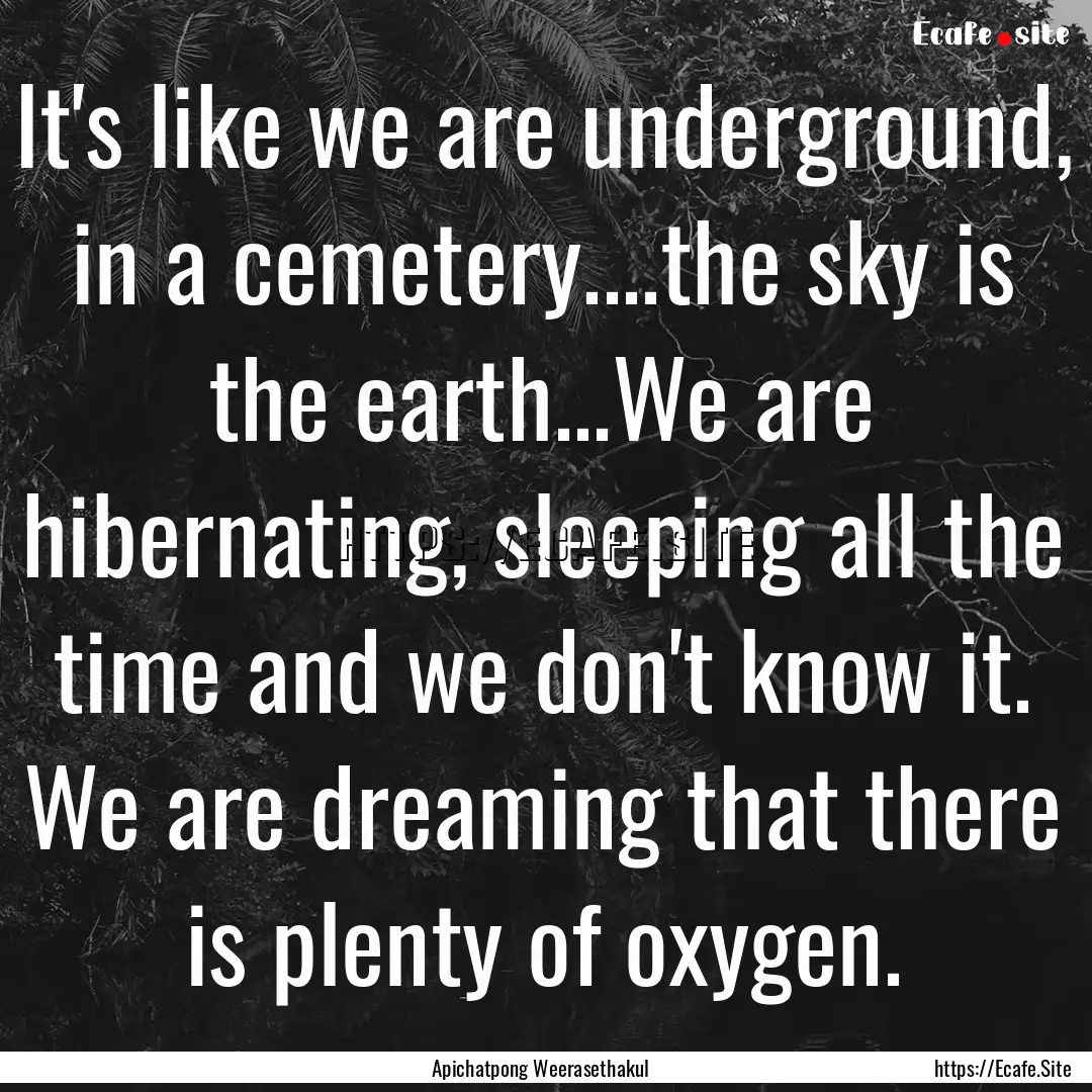 It's like we are underground, in a cemetery....the.... : Quote by Apichatpong Weerasethakul