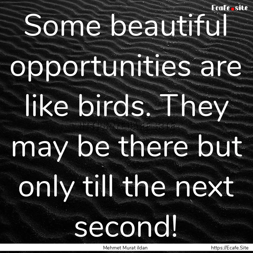 Some beautiful opportunities are like birds..... : Quote by Mehmet Murat ildan