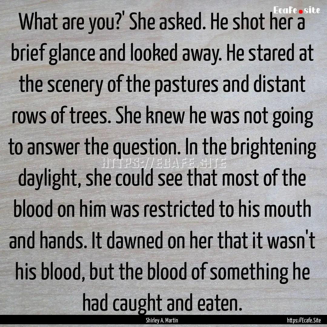 What are you?' She asked. He shot her a brief.... : Quote by Shirley A. Martin