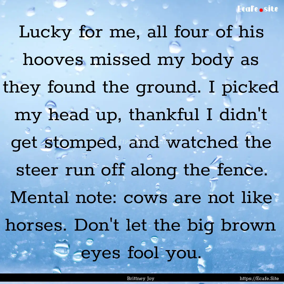 Lucky for me, all four of his hooves missed.... : Quote by Brittney Joy