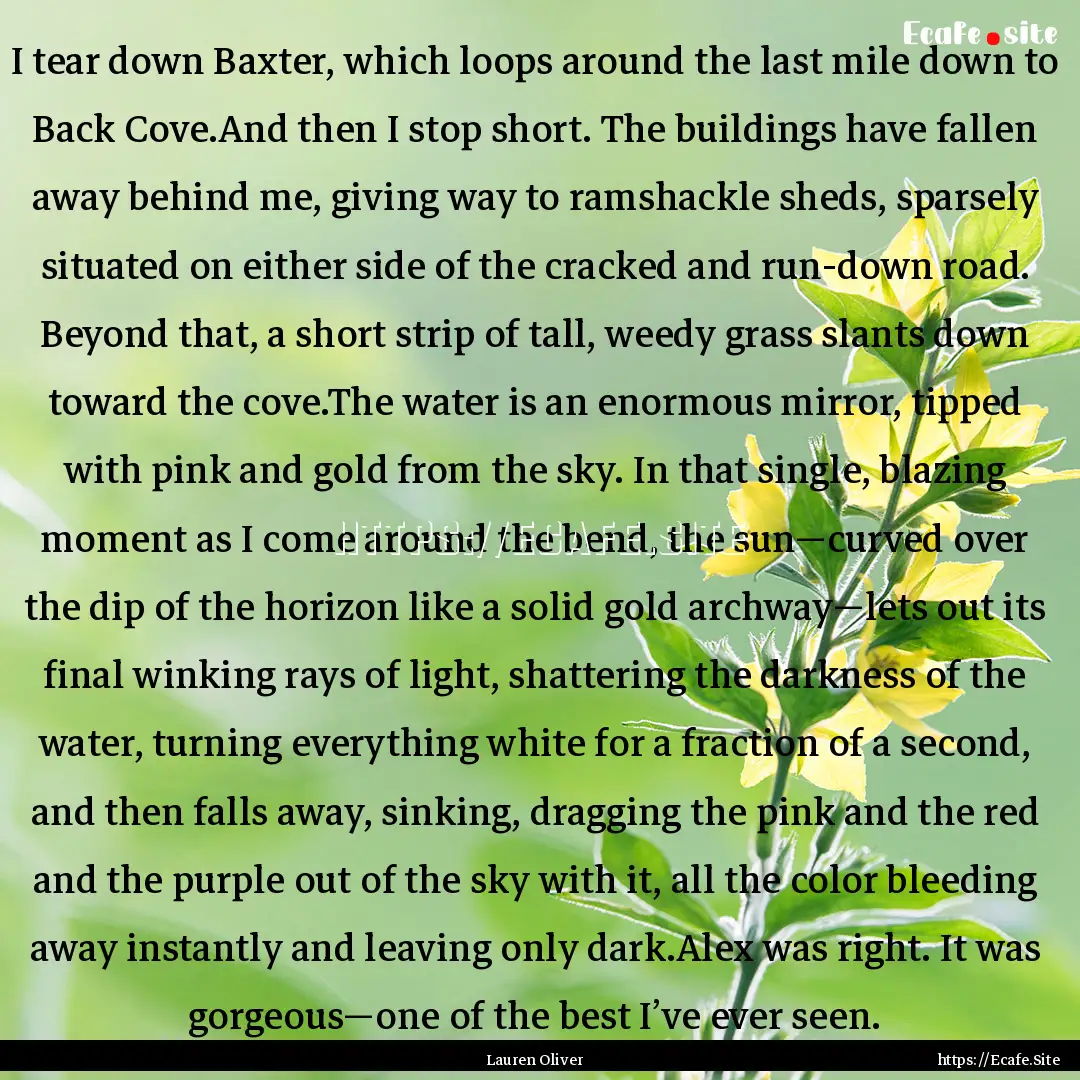 I tear down Baxter, which loops around the.... : Quote by Lauren Oliver