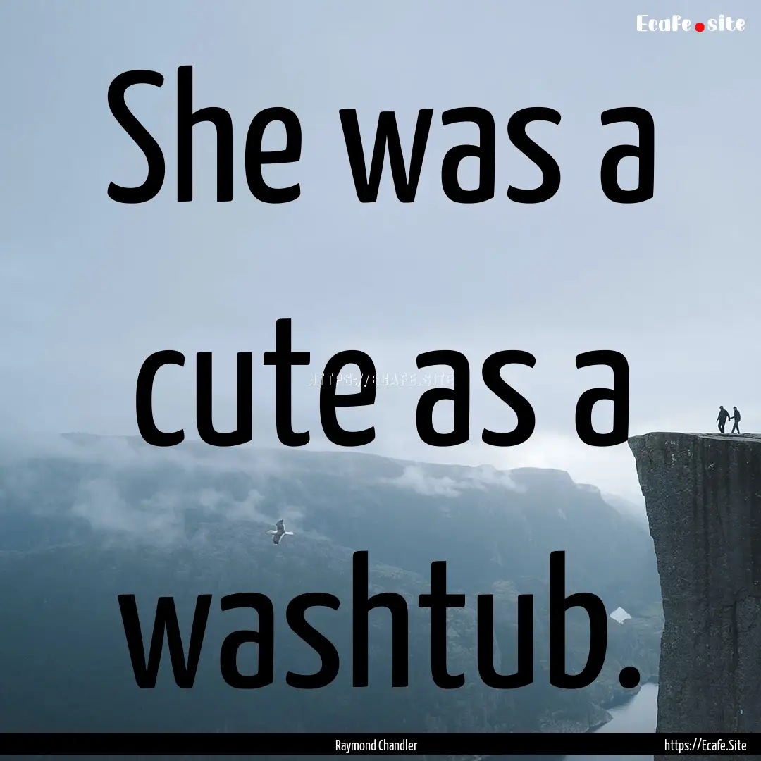 She was a cute as a washtub. : Quote by Raymond Chandler