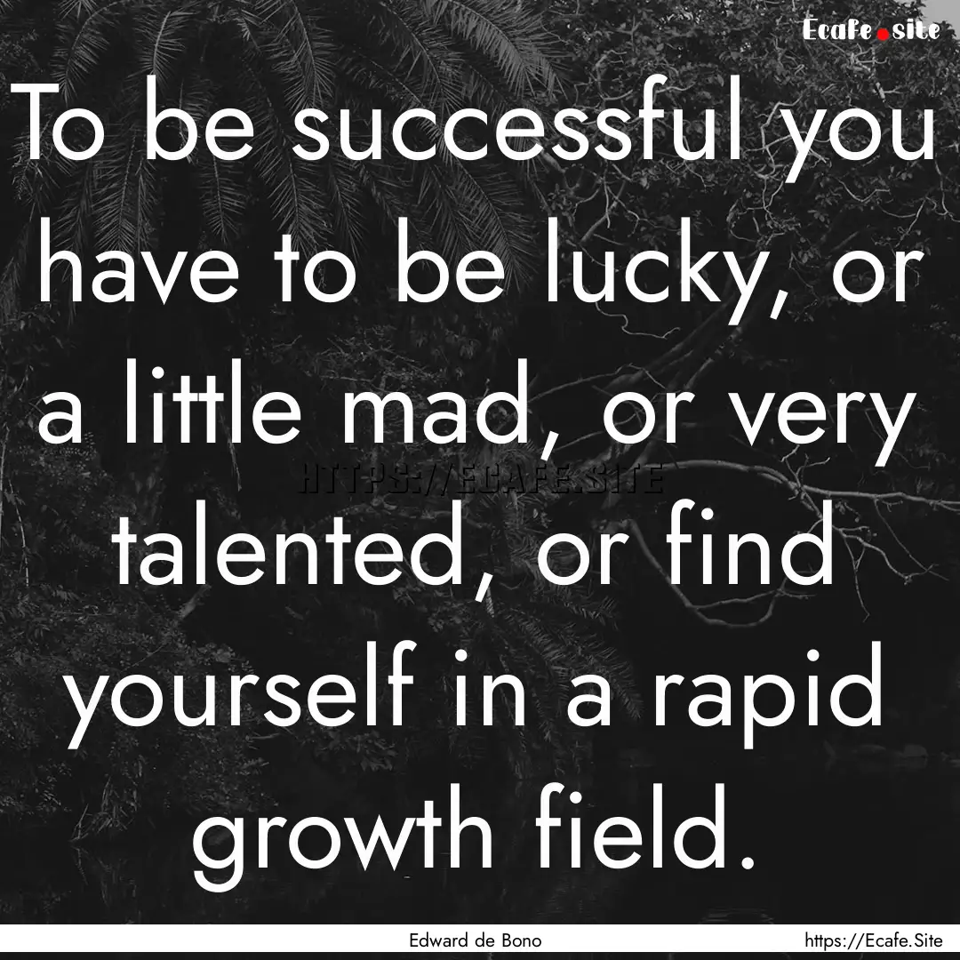 To be successful you have to be lucky, or.... : Quote by Edward de Bono