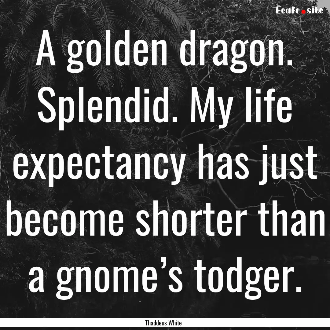 A golden dragon. Splendid. My life expectancy.... : Quote by Thaddeus White