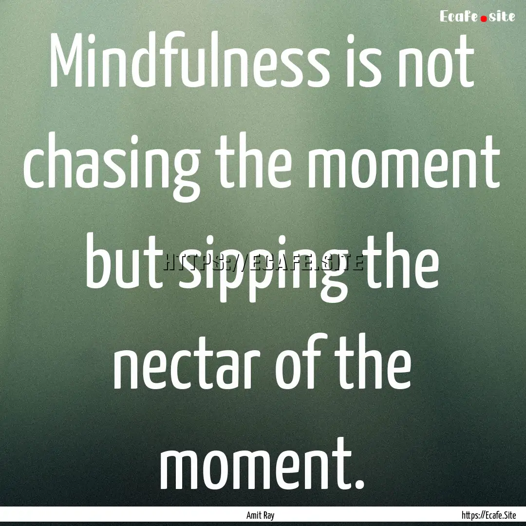 Mindfulness is not chasing the moment but.... : Quote by Amit Ray