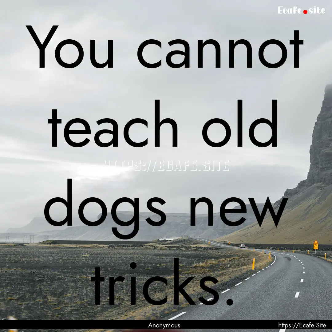 You cannot teach old dogs new tricks. : Quote by Anonymous