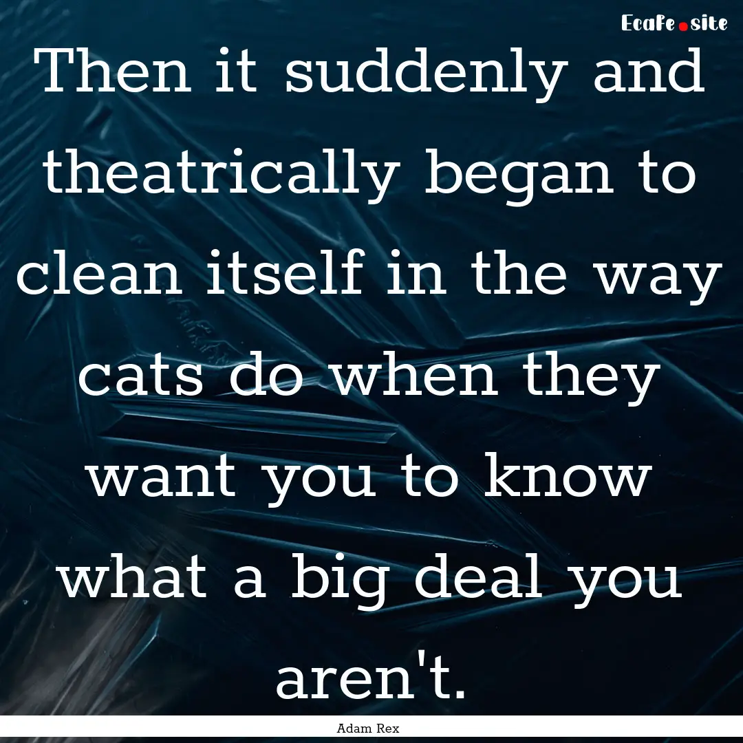 Then it suddenly and theatrically began to.... : Quote by Adam Rex