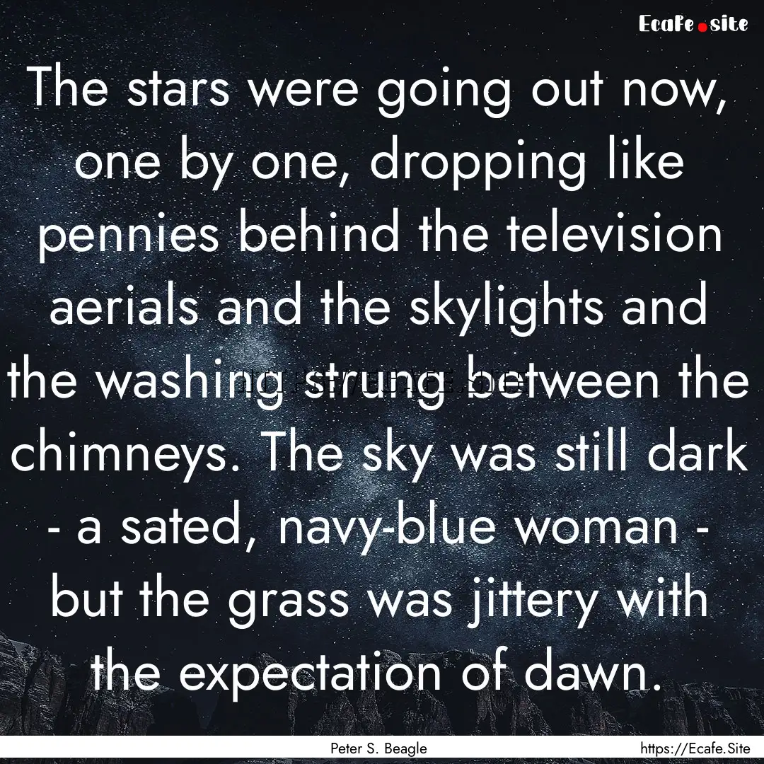 The stars were going out now, one by one,.... : Quote by Peter S. Beagle