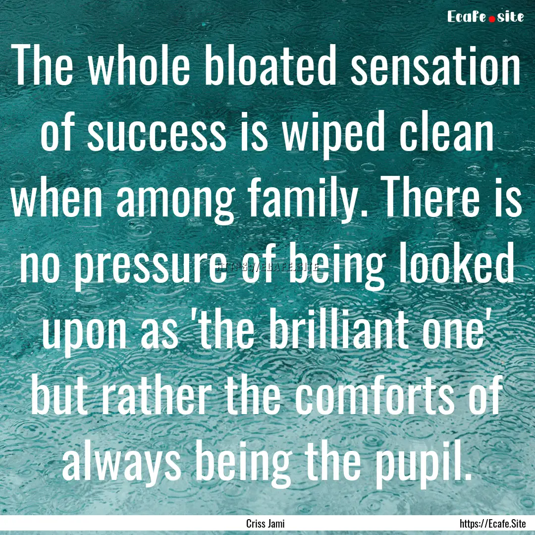 The whole bloated sensation of success is.... : Quote by Criss Jami