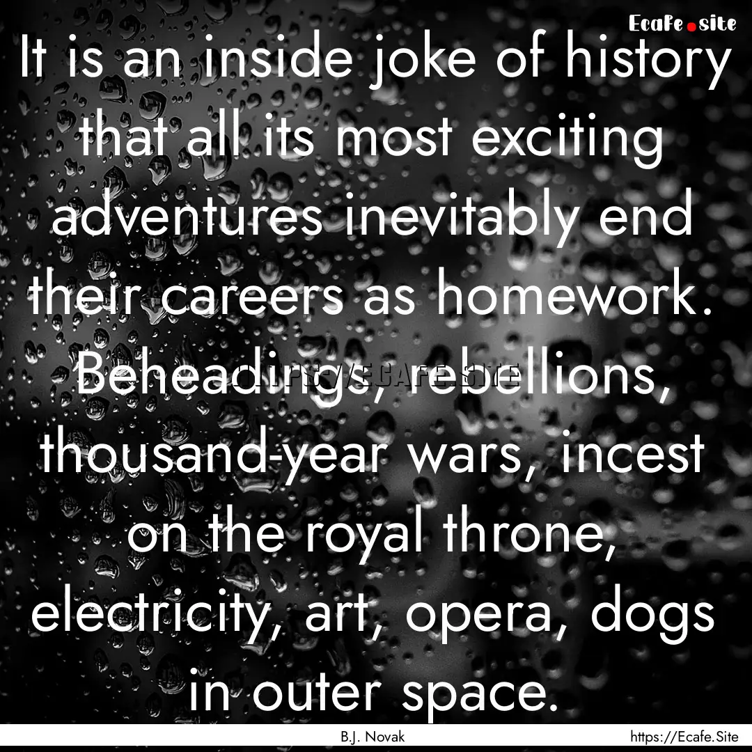 It is an inside joke of history that all.... : Quote by B.J. Novak