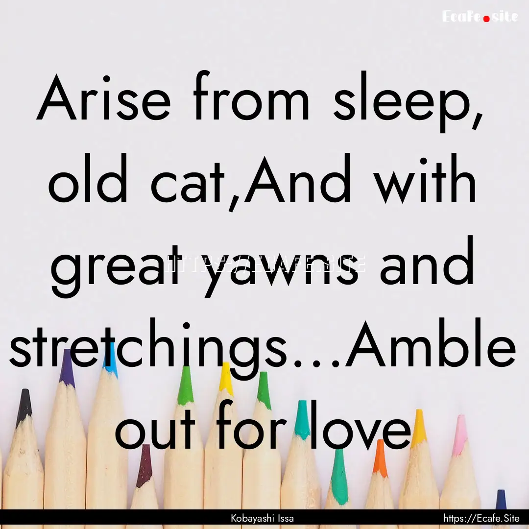 Arise from sleep, old cat,And with great.... : Quote by Kobayashi Issa