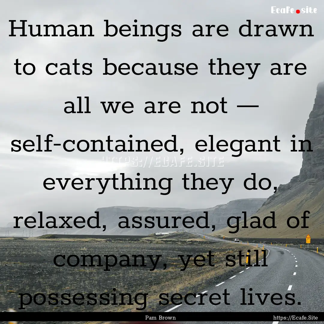 Human beings are drawn to cats because they.... : Quote by Pam Brown