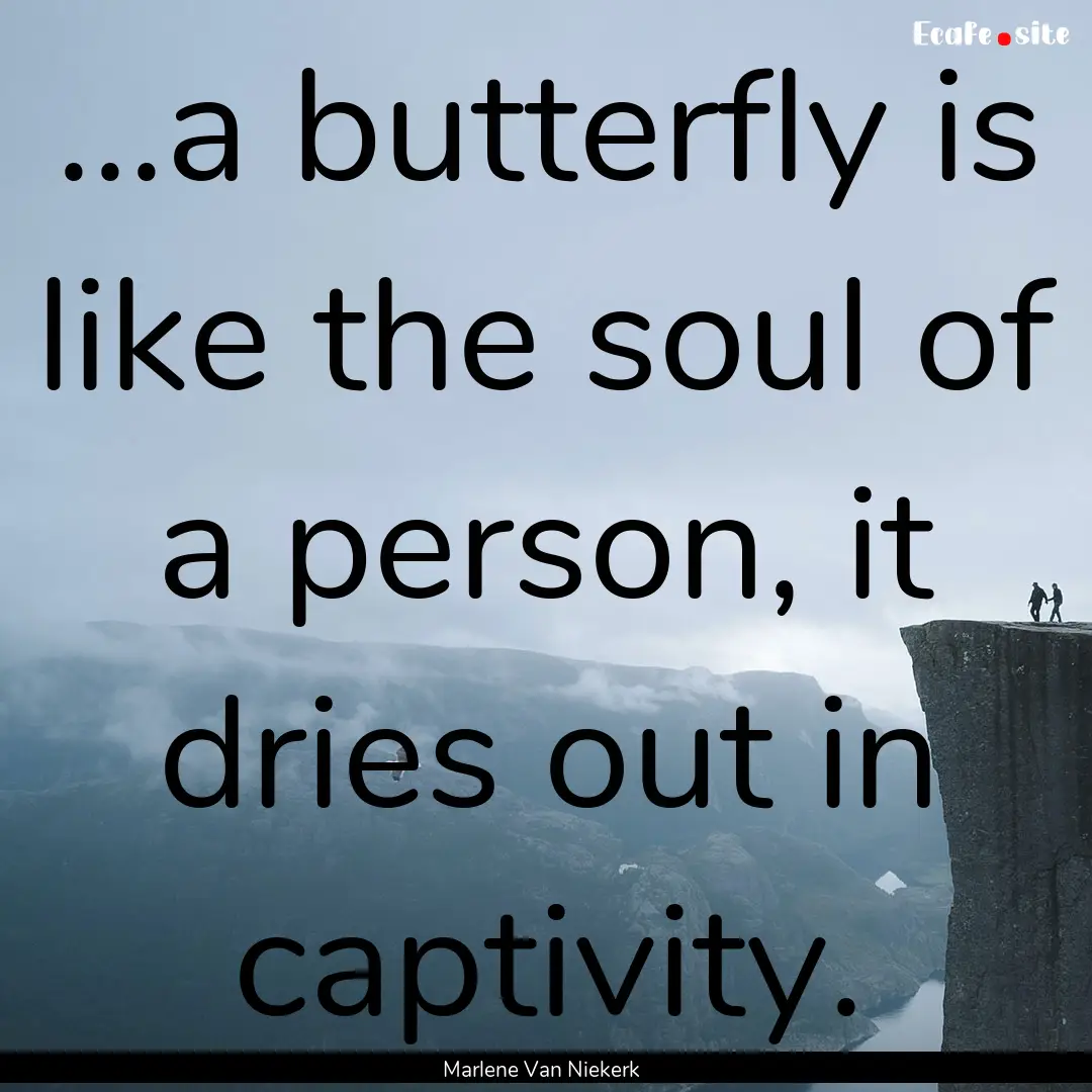 ...a butterfly is like the soul of a person,.... : Quote by Marlene Van Niekerk