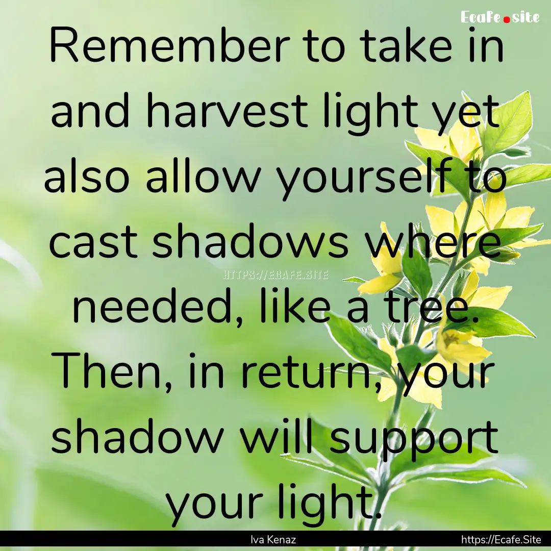 Remember to take in and harvest light yet.... : Quote by Iva Kenaz