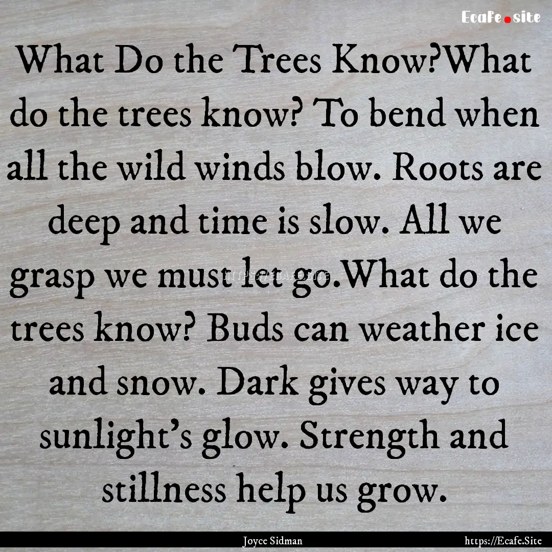 What Do the Trees Know?What do the trees.... : Quote by Joyce Sidman