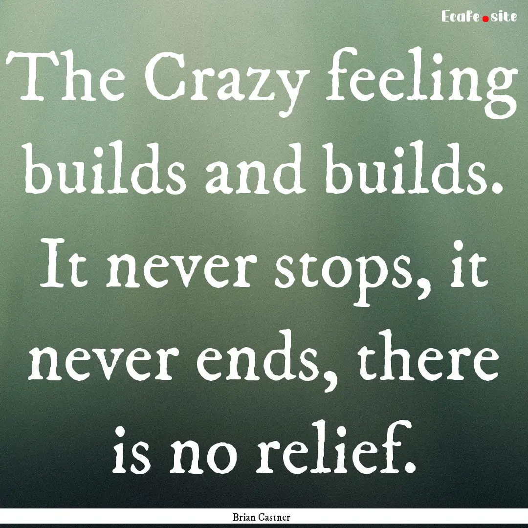 The Crazy feeling builds and builds. It never.... : Quote by Brian Castner