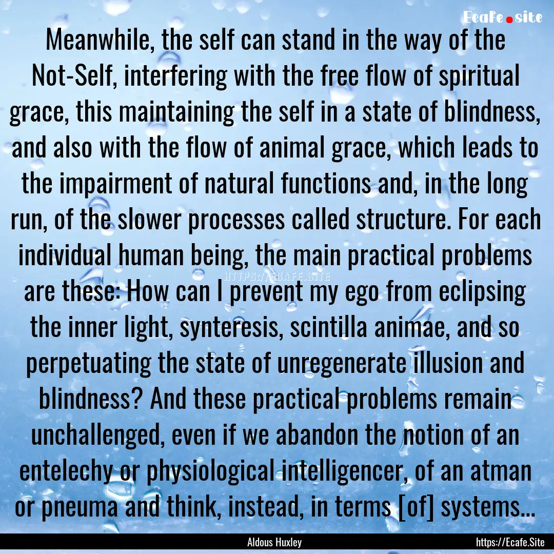 Meanwhile, the self can stand in the way.... : Quote by Aldous Huxley