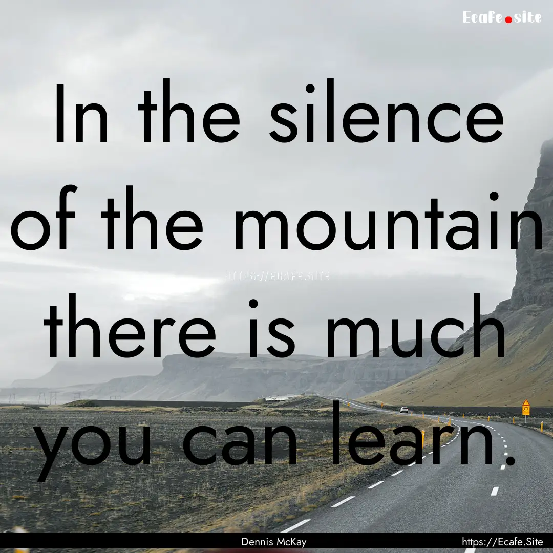 In the silence of the mountain there is much.... : Quote by Dennis McKay