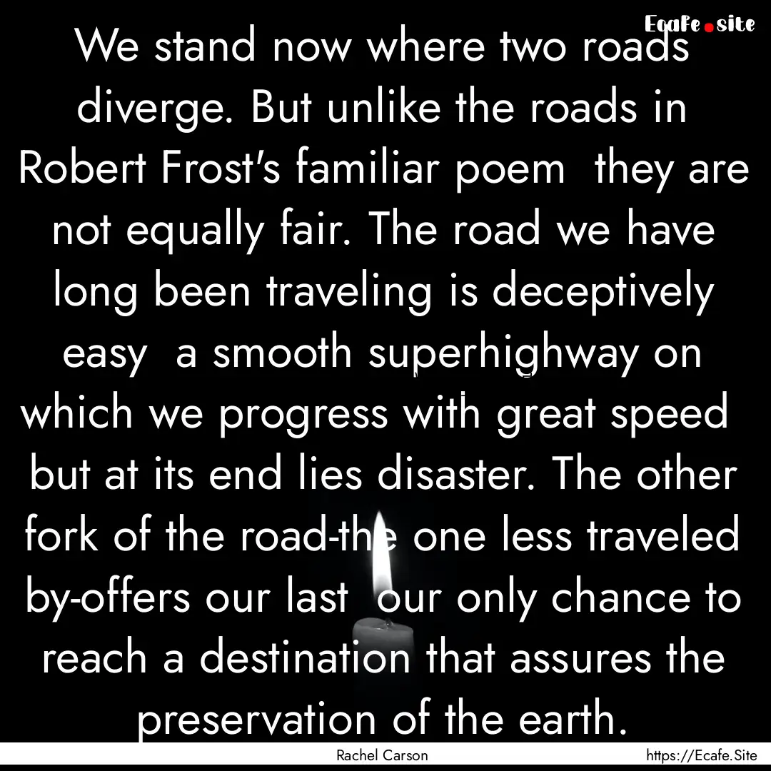 We stand now where two roads diverge. But.... : Quote by Rachel Carson