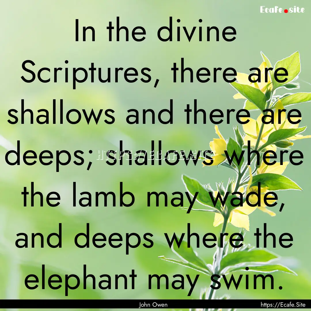 In the divine Scriptures, there are shallows.... : Quote by John Owen