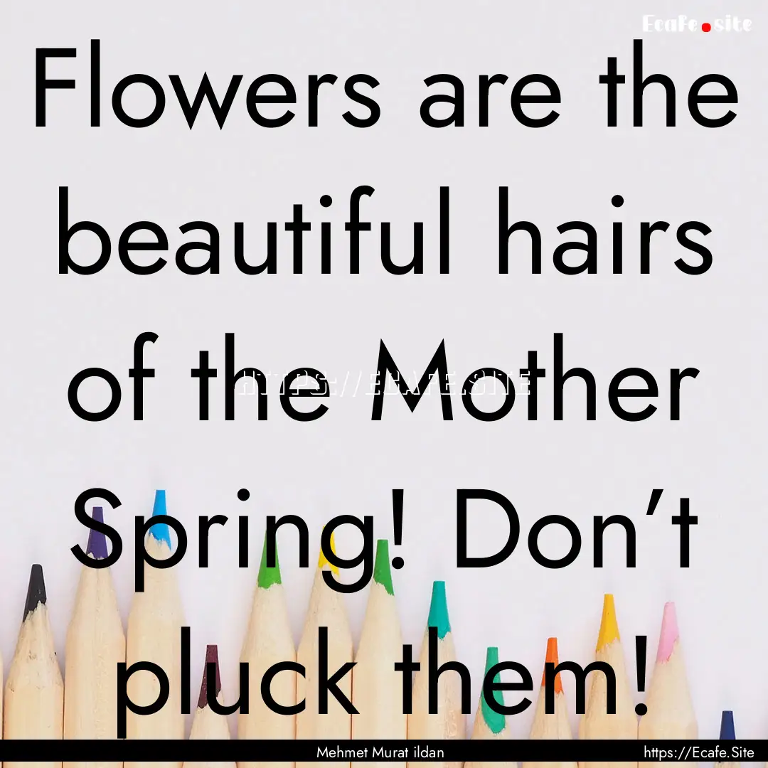 Flowers are the beautiful hairs of the Mother.... : Quote by Mehmet Murat ildan