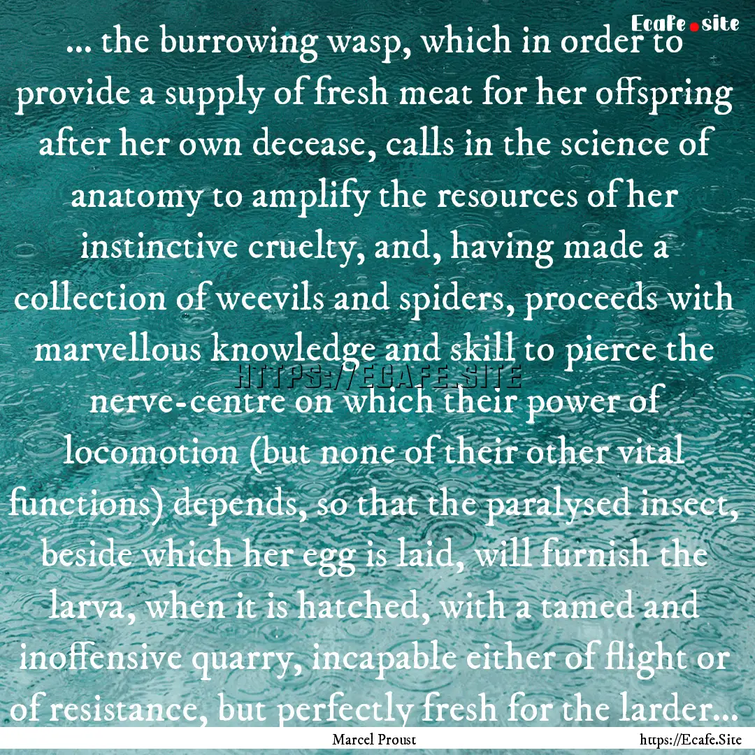 ... the burrowing wasp, which in order to.... : Quote by Marcel Proust