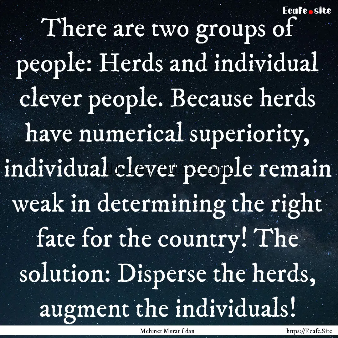 There are two groups of people: Herds and.... : Quote by Mehmet Murat ildan