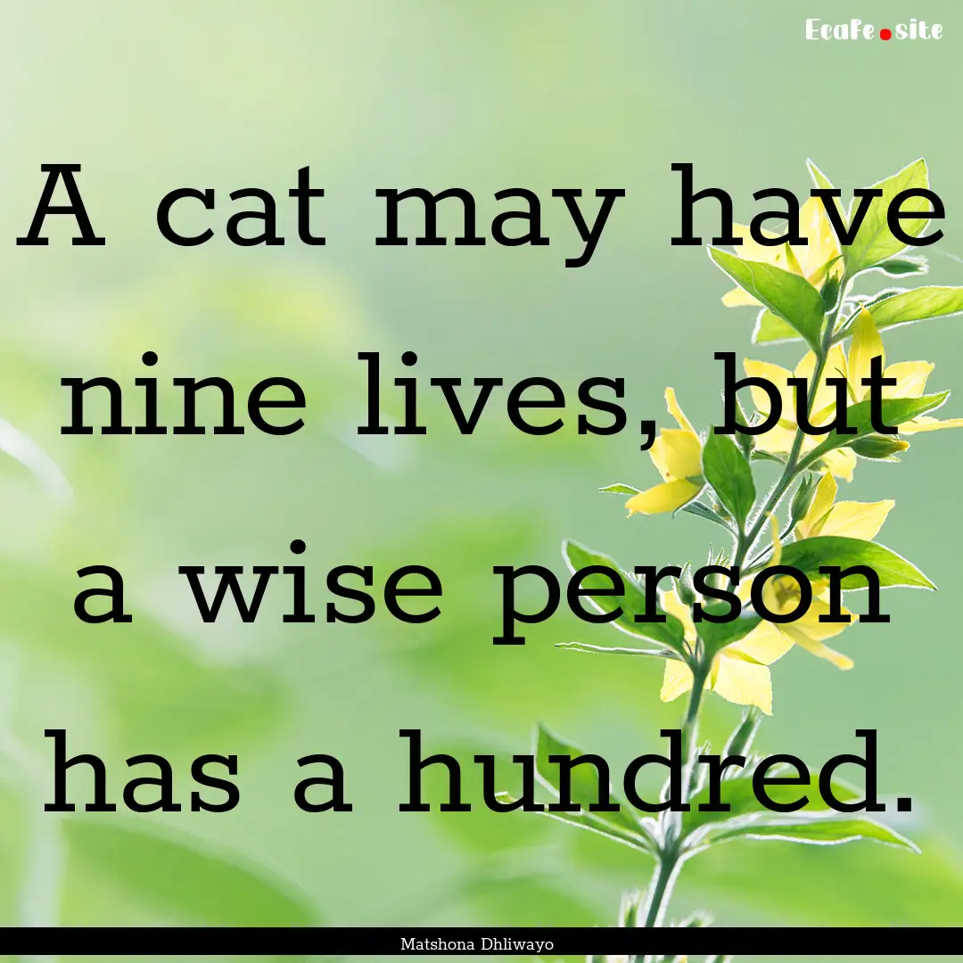 A cat may have nine lives, but a wise person.... : Quote by Matshona Dhliwayo