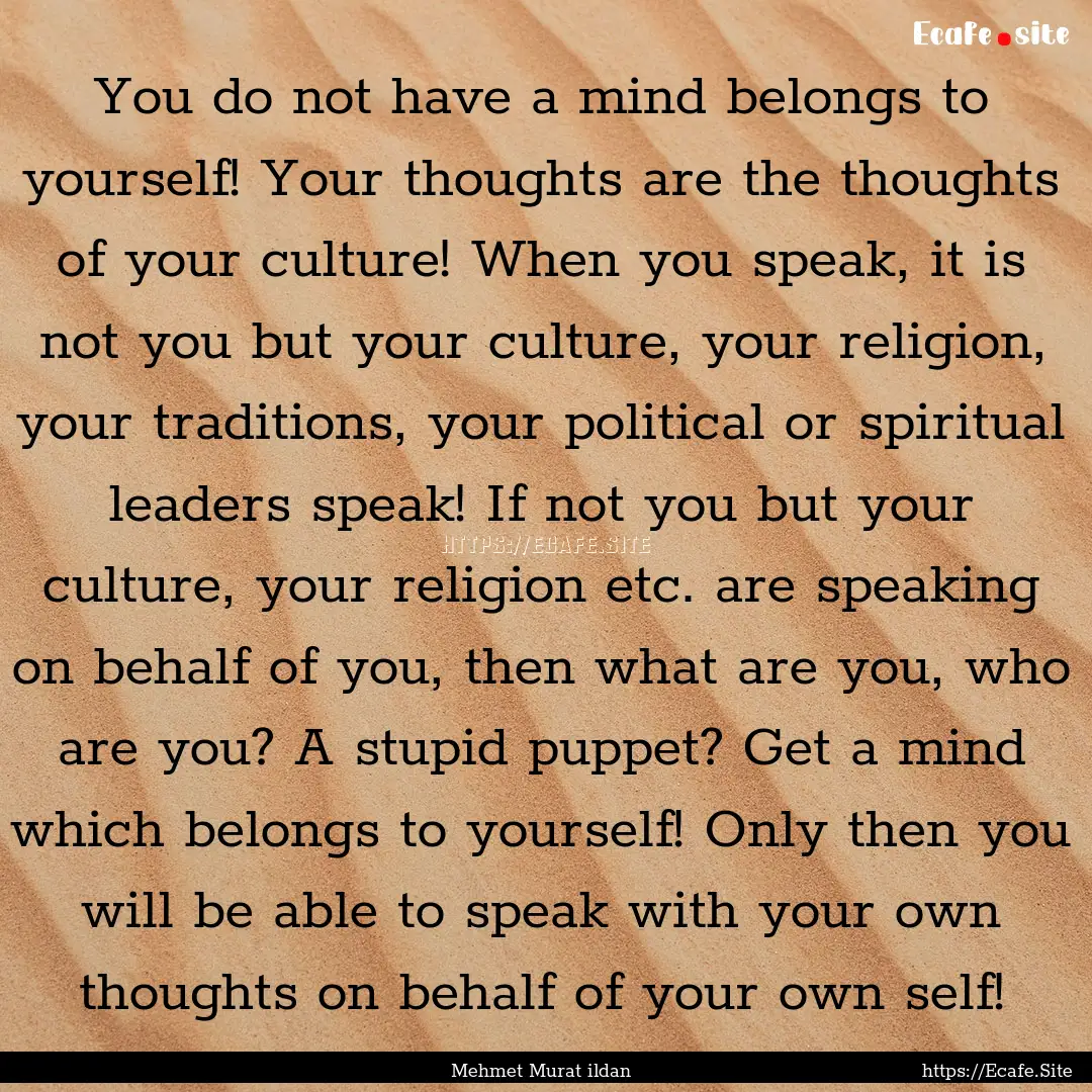 You do not have a mind belongs to yourself!.... : Quote by Mehmet Murat ildan