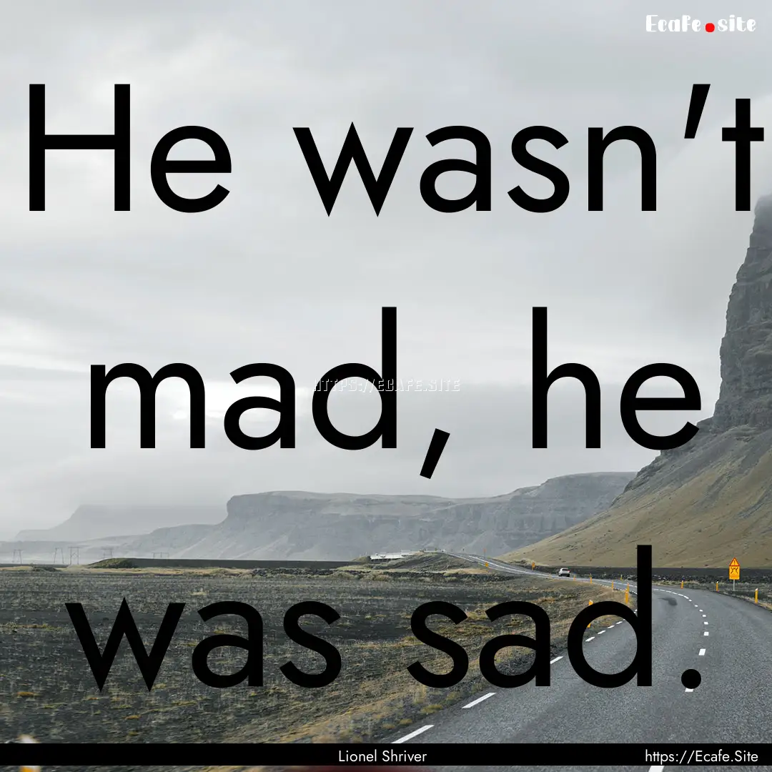 He wasn't mad, he was sad. : Quote by Lionel Shriver