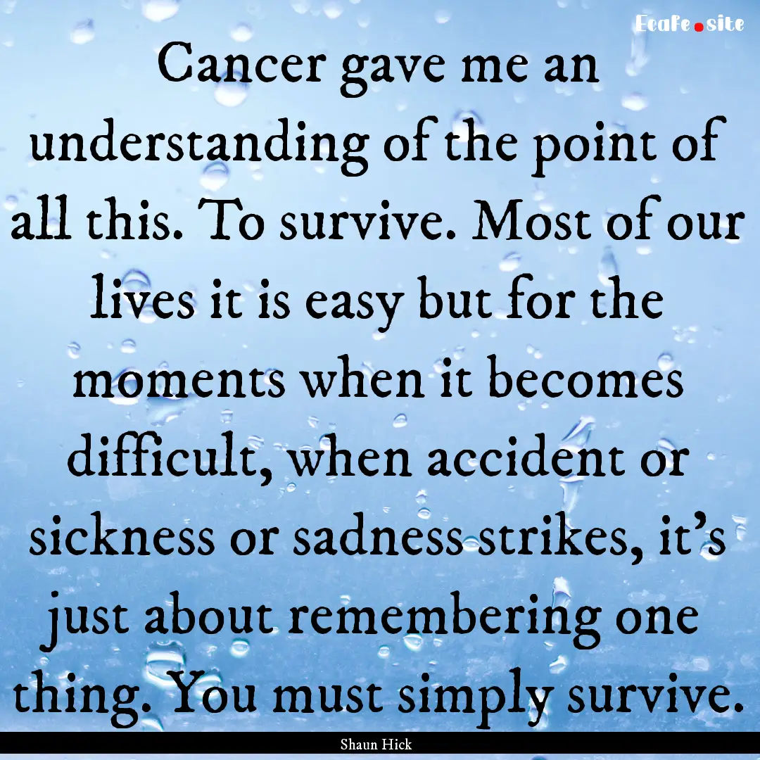 Cancer gave me an understanding of the point.... : Quote by Shaun Hick