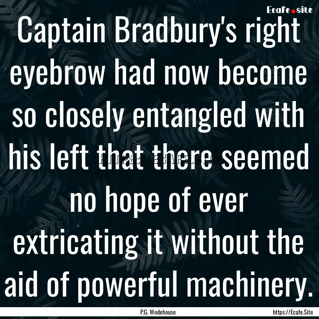 Captain Bradbury's right eyebrow had now.... : Quote by P.G. Wodehouse