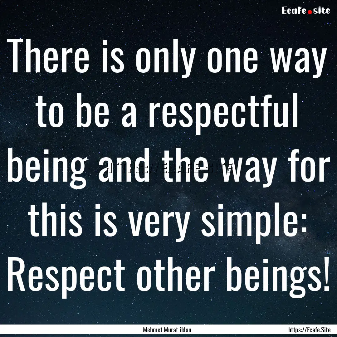 There is only one way to be a respectful.... : Quote by Mehmet Murat ildan