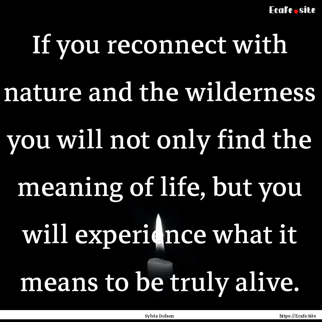 If you reconnect with nature and the wilderness.... : Quote by Sylvia Dolson