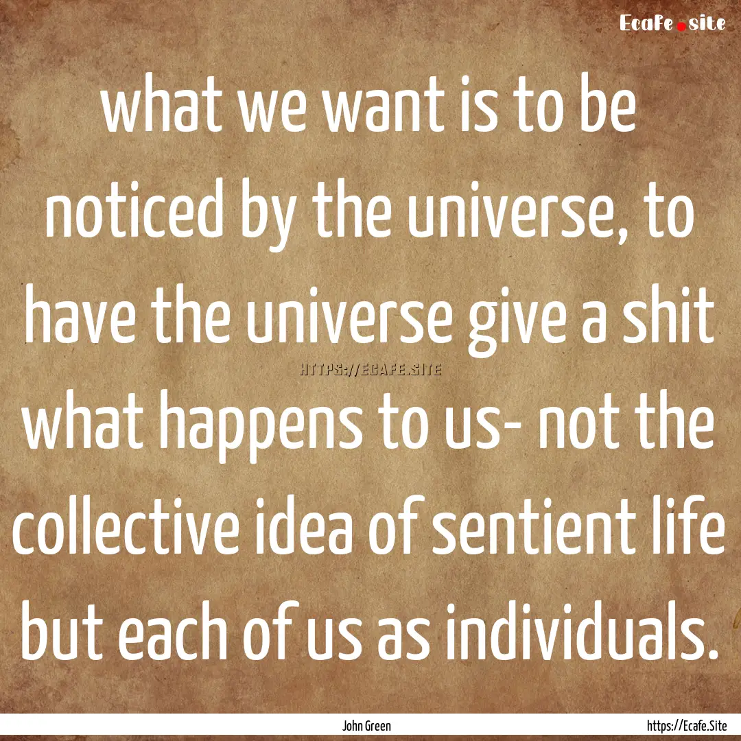 what we want is to be noticed by the universe,.... : Quote by John Green