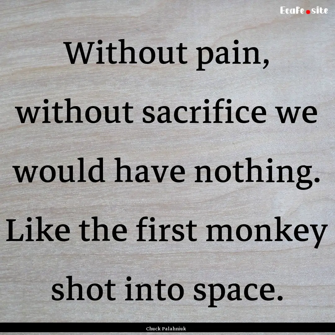 Without pain, without sacrifice we would.... : Quote by Chuck Palahniuk