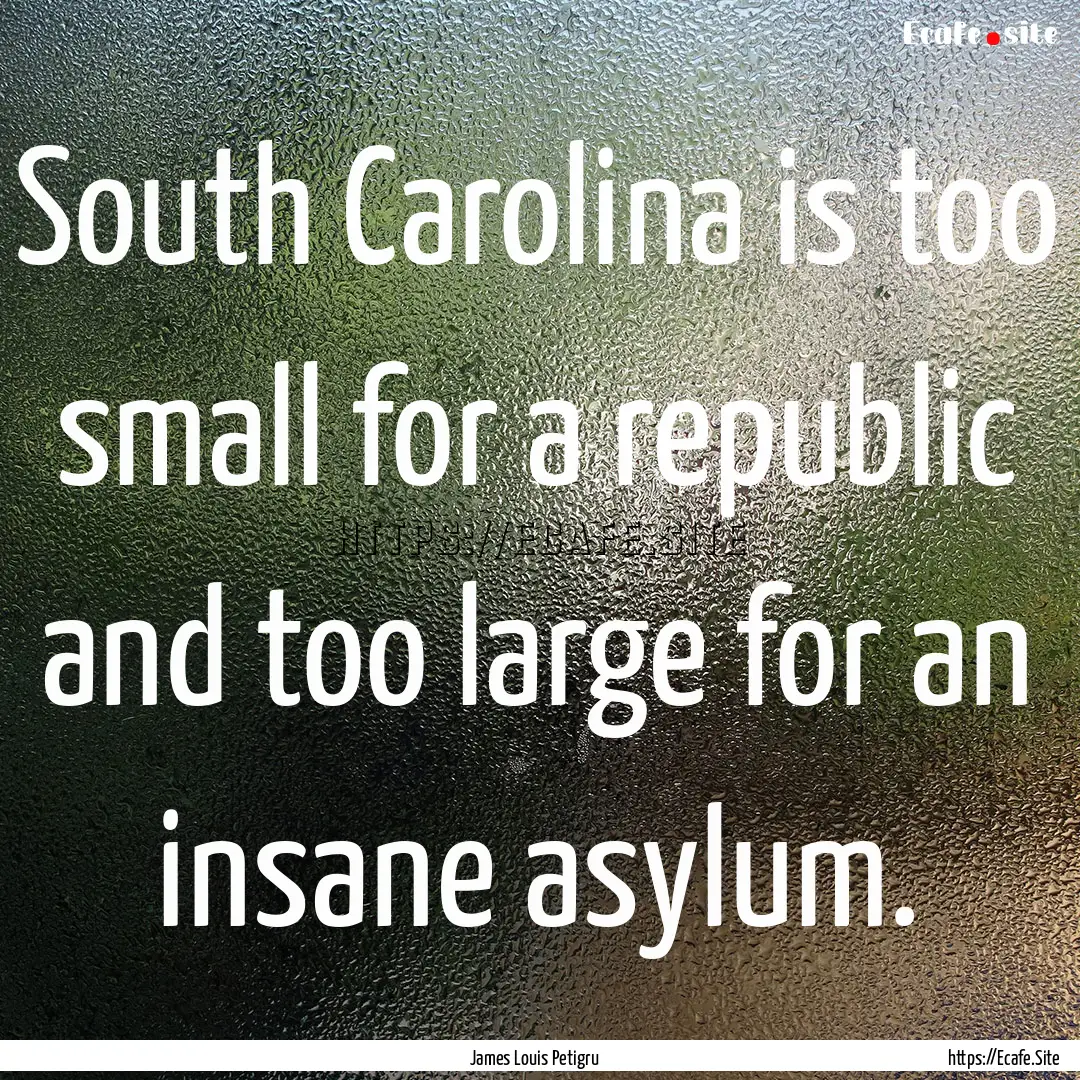 South Carolina is too small for a republic.... : Quote by James Louis Petigru