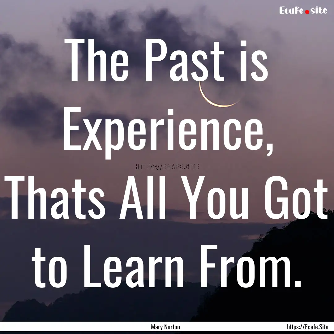 The Past is Experience, Thats All You Got.... : Quote by Mary Norton